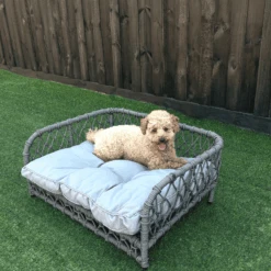 Jacob Outdoor Wicker Rope Elevated Dog Bed, Grey -Petkit Shop modern pets dog bed jacob outdoor wicker rope elevated dog bed 36685618905307