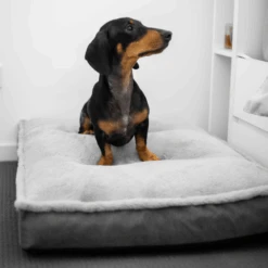 Luxury Dog Mattress Orthopedic, Storm Grey -Petkit Shop modern pets dog bed luxury dog mattress orthopedic storm grey 28712052326599