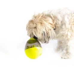 Dog Tumbler Feeder Toy, Green -Petkit Shop modern pets dog toy dog tumbler feeder toy w bonus snacks green 31868145926343
