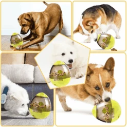 Dog Tumbler Feeder Toy, Green -Petkit Shop modern pets dog toy dog tumbler feeder toy w bonus snacks green 6872132255847