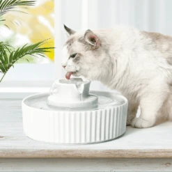Ceramic Pet Water Fountain 10 Ceramic Pet Water Fountain -Petkit Shop modern pets pet fountain ceramic cat water fountain 34506374054107