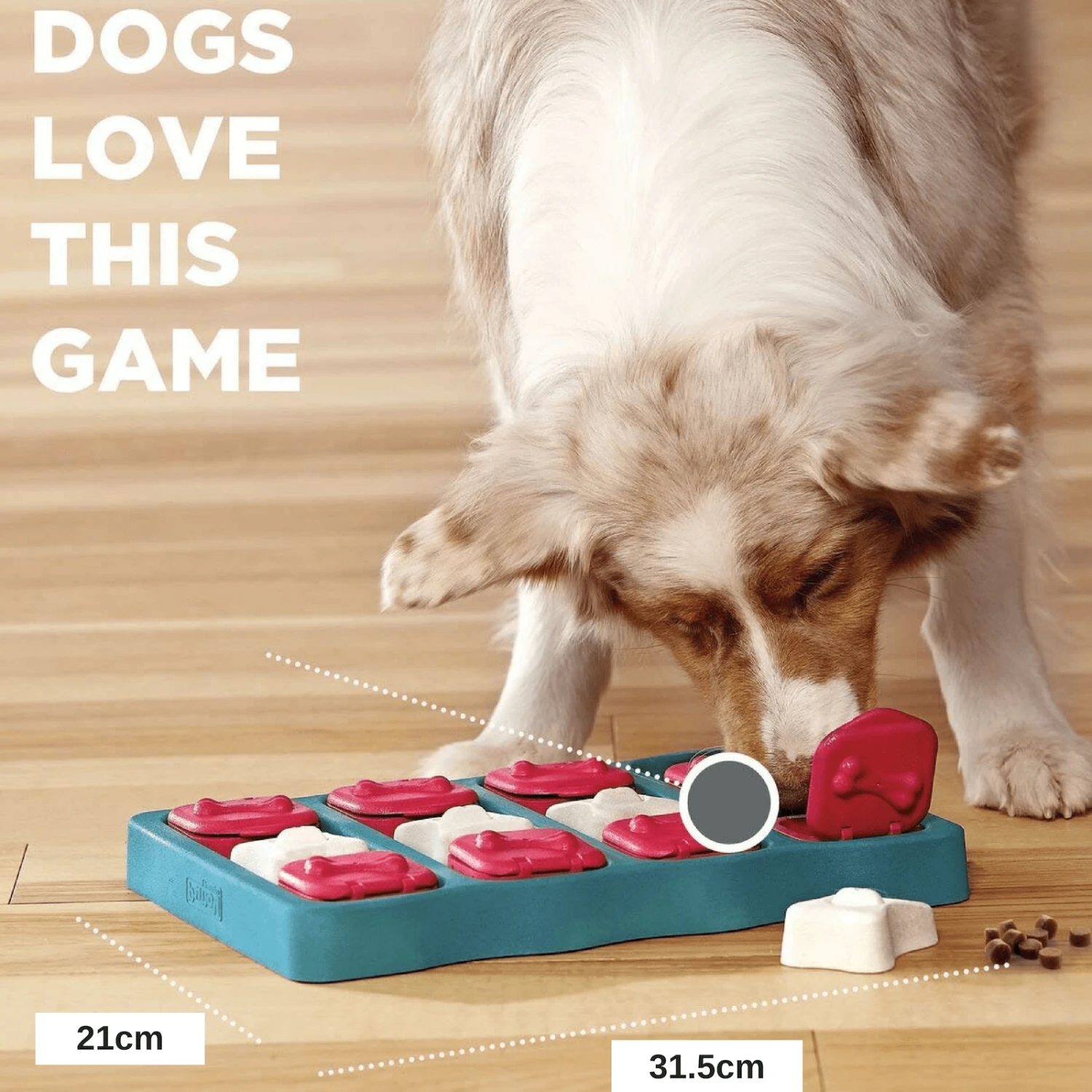 Outward Hound Nina Ottosson Dog Puzzle Toy Interactive Treat Dispenser | Dog Brick 9 Outward Hound Nina Ottosson Dog Puzzle Toy Interactive Treat Dispenser | Dog Brick - Image 7