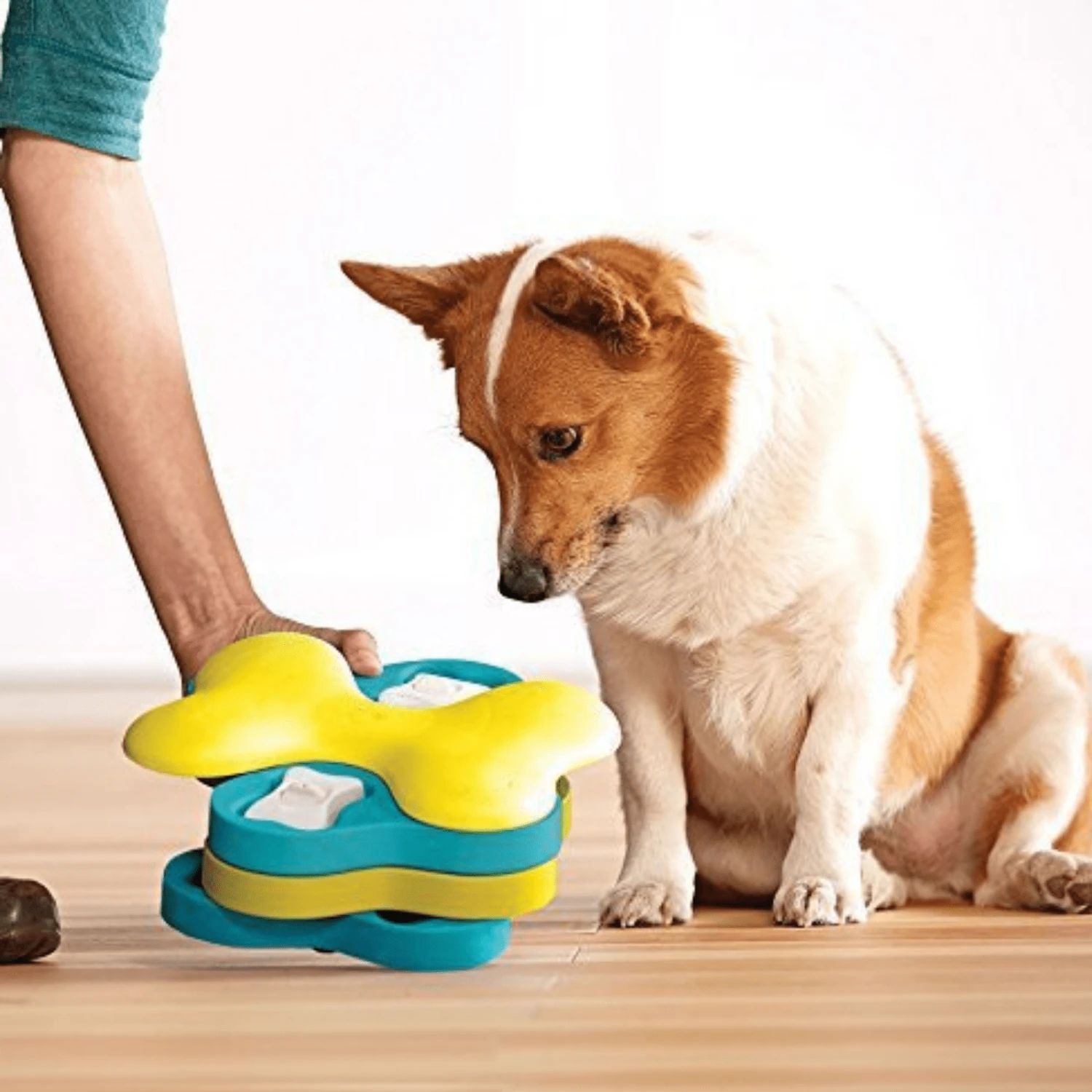 Outward Hound Nina Ottosson Dog Puzzle Toy Interactive Treat Dispenser | Dog Tornado 8 Outward Hound Nina Ottosson Dog Puzzle Toy Interactive Treat Dispenser | Dog Tornado - Image 6