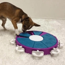 Outward Hound Nina Ottosson Dog Puzzle Toy Interactive Treat Dispenser | Dog Twister 12 Outward Hound Nina Ottosson Dog Puzzle Toy Interactive Treat Dispenser | Dog Twister -Petkit Shop outward hound dog toy nina ottosson dog puzzle toy interactive treat dispenser dog twister 31864235294919