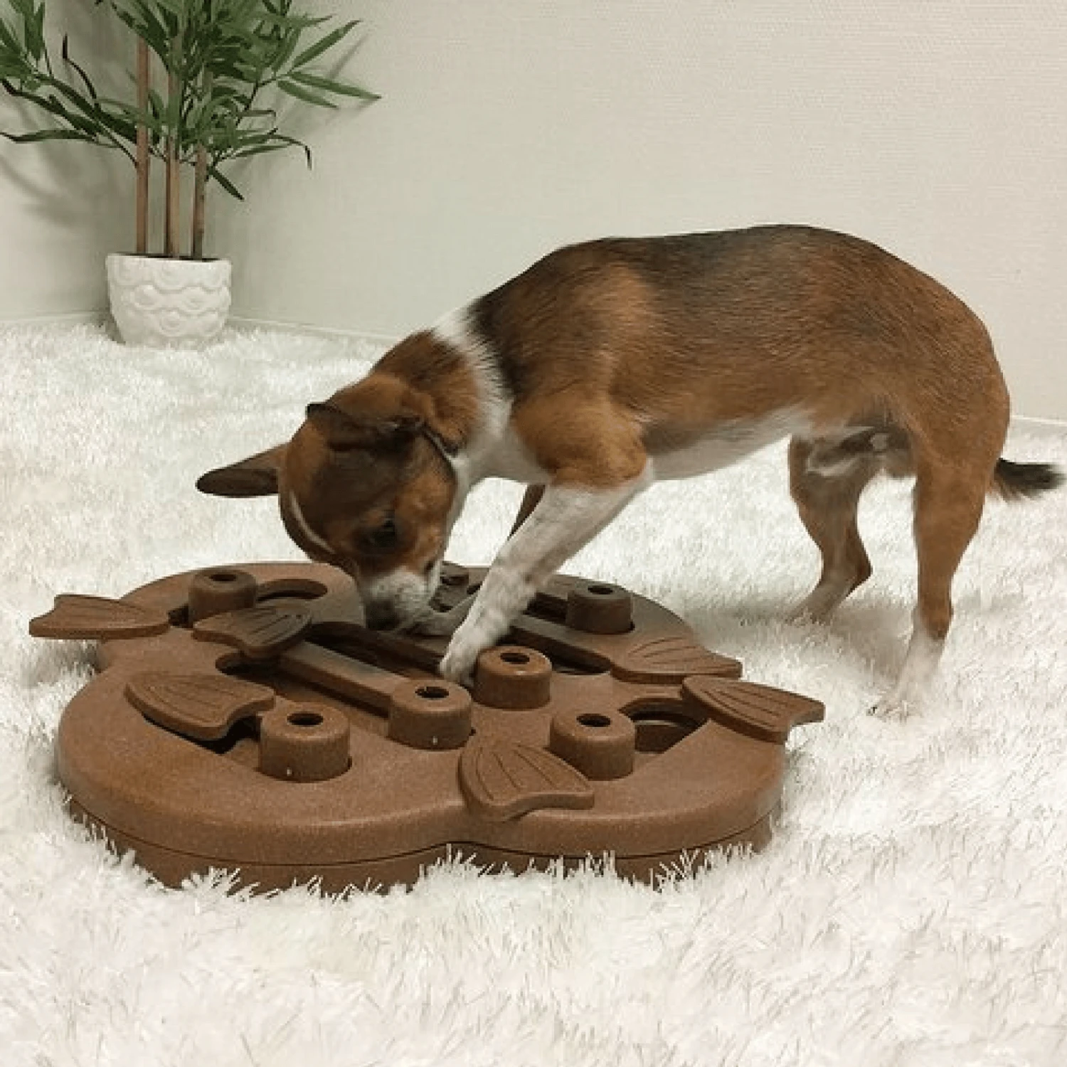 Outward Hound Nina Ottosson Dog Puzzle Toy Interactive Treat Dispenser | Hide N Slide 6 Outward Hound Nina Ottosson Dog Puzzle Toy Interactive Treat Dispenser | Hide N Slide - Image 4