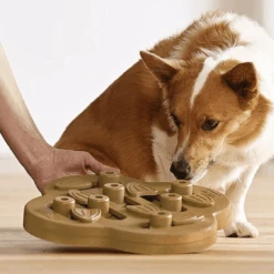 Outward Hound Nina Ottosson Dog Puzzle Toy Interactive Treat Dispenser | Hide N Slide 11 Outward Hound Nina Ottosson Dog Puzzle Toy Interactive Treat Dispenser | Hide N Slide -Petkit Shop outward hound dog toy nina ottosson dog puzzle toy interactive treat dispenser hide n slide 31864228151495