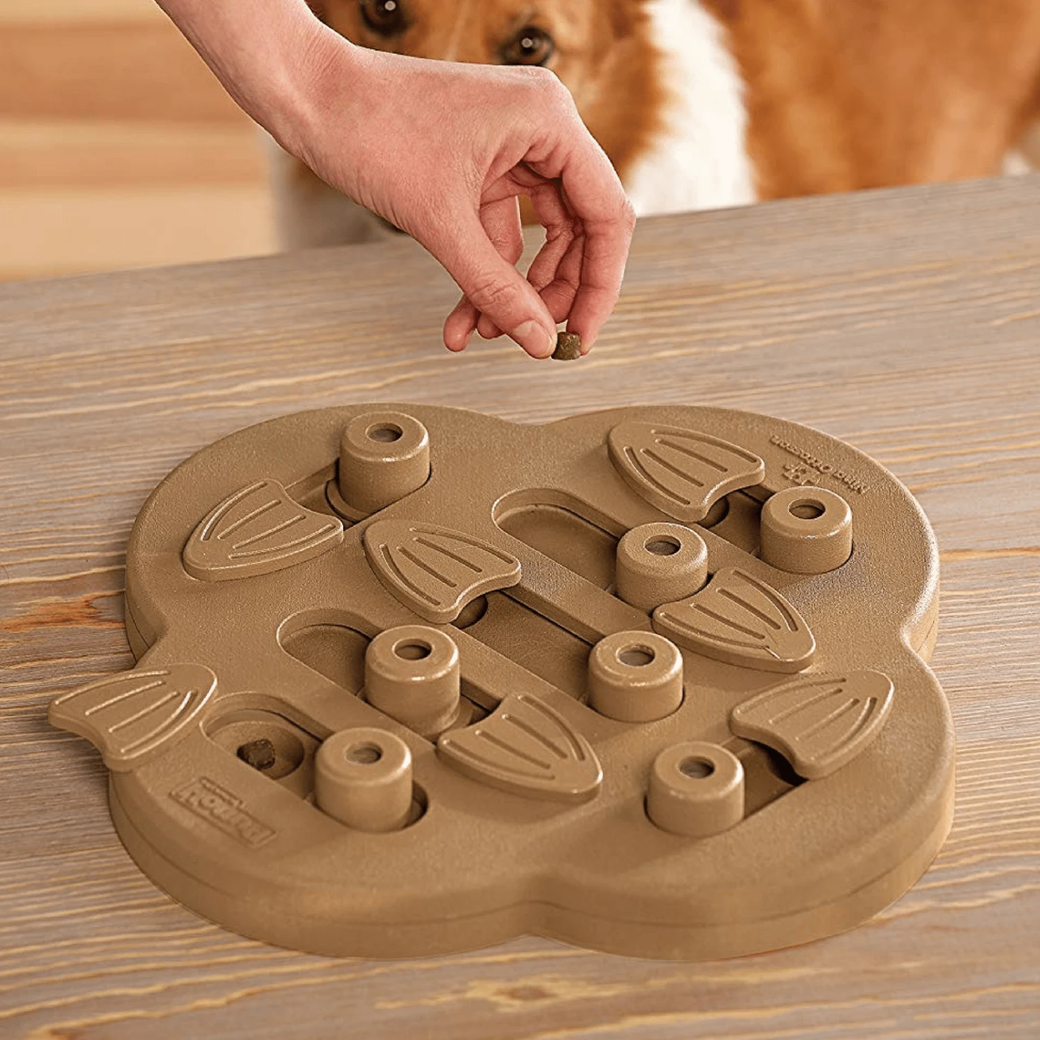Outward Hound Nina Ottosson Dog Puzzle Toy Interactive Treat Dispenser | Hide N Slide 9 Outward Hound Nina Ottosson Dog Puzzle Toy Interactive Treat Dispenser | Hide N Slide - Image 7