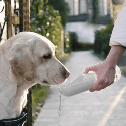 Petkit Eversweet V2 Dog Water Bottle Travel Bowl, White -Petkit Shop petkit pet bowl petkit eversweet v2 dog water bottle travel bowl white 15917533593703