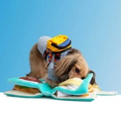 7-12 Grocery Store Snuffle Food Guide Book Toy For Dogs -Petkit Shop poozpet dog toy 7 12 grocery store snuffle food guide book toy for dogs 37127394984155