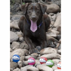 Rogz Grinz Dog Ball Toy, Blue -Petkit Shop rogz dog toy rogz grinz dog ball toy blue 31860824146119
