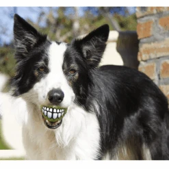 Rogz Grinz Dog Ball Toy, Lime -Petkit Shop rogz dog toy rogz grinz dog ball toy lime 31860873494727