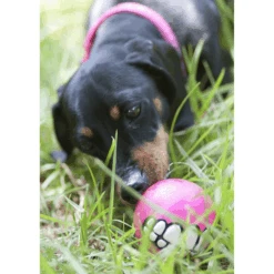Rogz Grinz Dog Ball Toy, Pink -Petkit Shop rogz dog toy rogz grinz dog ball toy pink 12404944928871