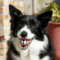 Rogz Grinz Dog Ball Toy, Pink -Petkit Shop rogz dog toy rogz grinz dog ball toy pink 12404952203367