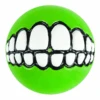 Rogz Grinz Dog Ball Toy, Lime 2 Rogz Grinz Dog Ball Toy, Lime -Petkit Shop rogz dog toy small rogz grinz dog ball toy lime 12404678623335