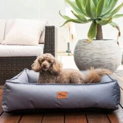 Ripstop Dog Lounger Bed, Steel Grey -Petkit Shop spgdlr 4