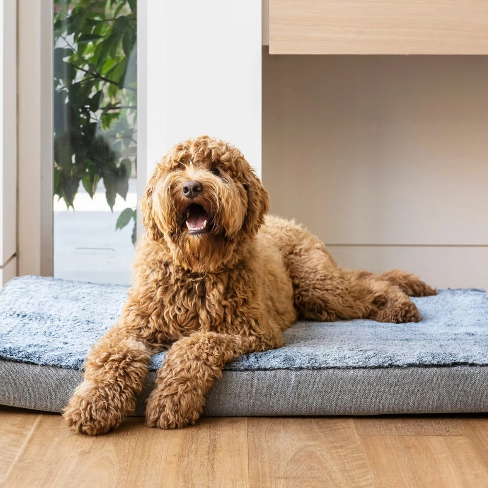 Orthopedic Calming Dog Mat Water Resistant, Artic Faux Fur 4 Orthopedic Calming Dog Mat Water Resistant, Artic Faux Fur - Image 2