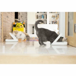 Surefeed Microchip Pet Feeder, Smart Feeding Bowl For Dogs & Cats -Petkit Shop sure petcare pet feeder surefeed microchip pet feeder smart feeding bowl for dogs cats 31872215613639