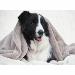 T&S Puppy Mink Dog Blanket, Warm Grey
