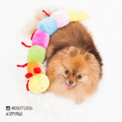 Zippy Paws Long Caterpillar Dog Squeaker Toy 11 Zippy Paws Long Caterpillar Dog Squeaker Toy -Petkit Shop zippy paws dog toy zippy paws long caterpillar 6 squeakers plush no stuffing dog toy 24654789411015
